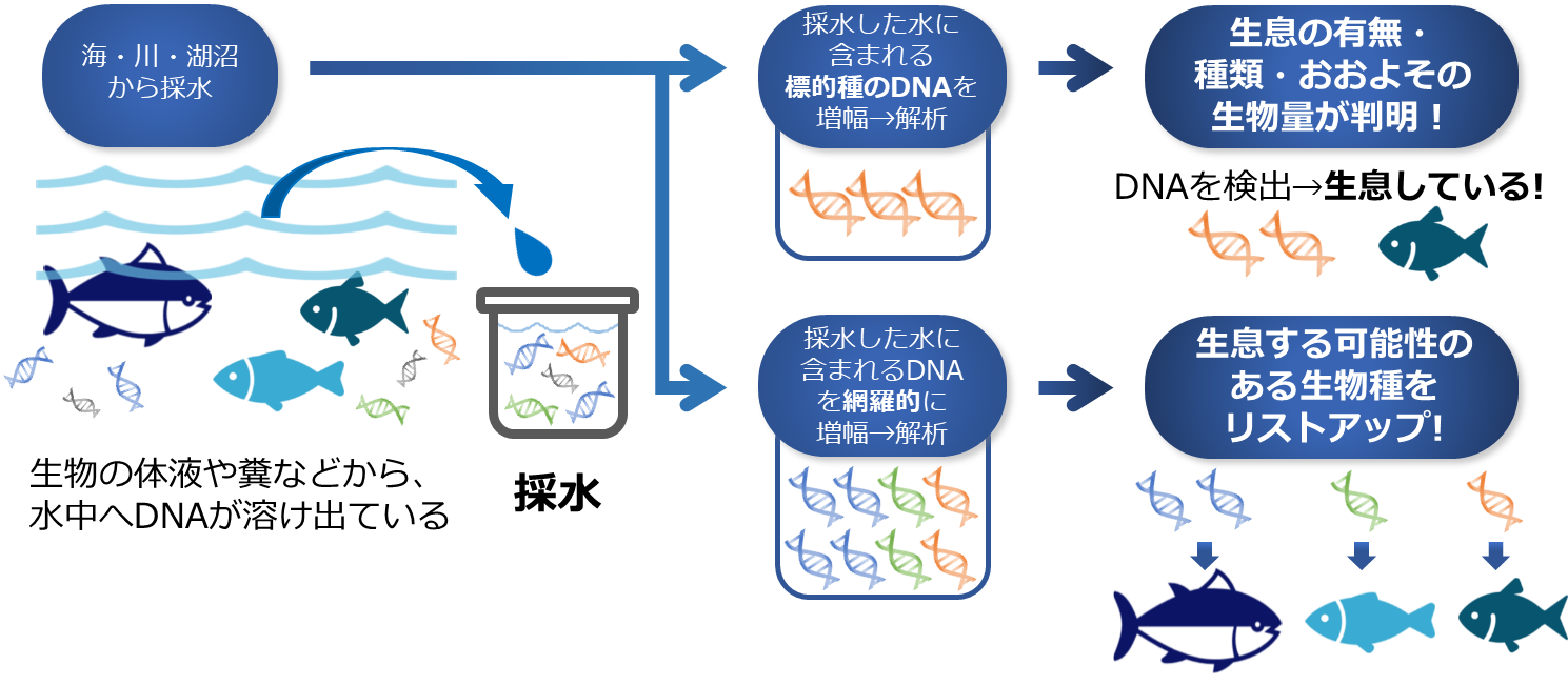 環境DNAとは