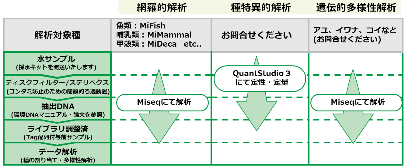 分析サンプルの状態