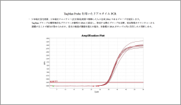 Real-time PCR結果サンプルフォーマット. csv