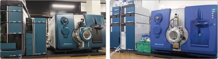 タンデム四重極型LC-MS/MS