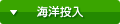 海洋投入
